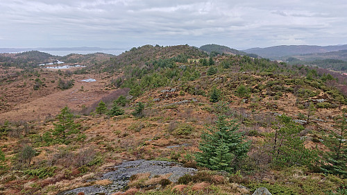 Towards the summit of Nordskogfjellet from Nordskogfjellet Sør