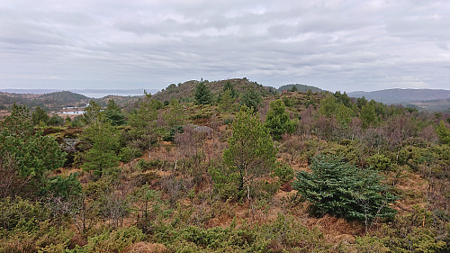 Approaching the summit of Nordskogfjellet
