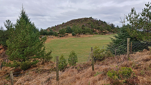 The field south of the slightly lower hill south of the summit of Nordskogfjellet