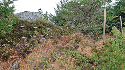 Finally found a safe place to cross the barbed wire fence