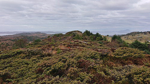 The summit of Nordskogfjellet from the slightly lower hill to the south