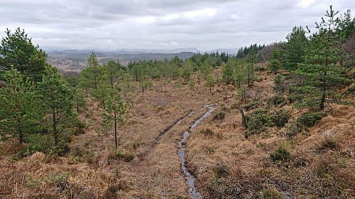 Descending along the rough tractor road