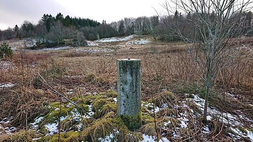 First new trig marker north of Flyplassvegen with Lilandshaugen in the background left