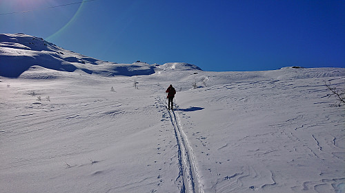 Ascending along the ridge to Nåmdalsfjellet
