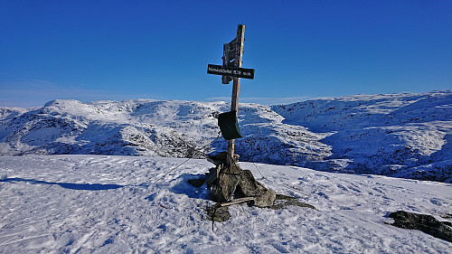 The summit of Nåmdalsfjellet