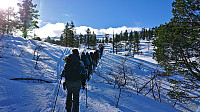 Through the trees in Stokkseldalen