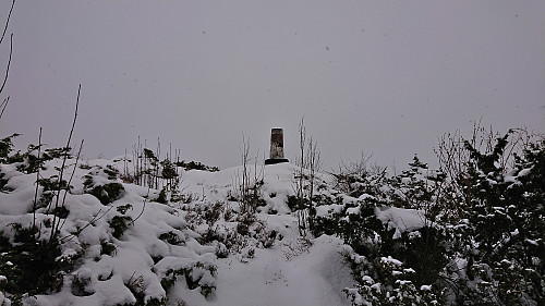 The trig marker at Storåsen på Søreide