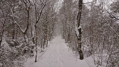 On the way to the summit of Knappen