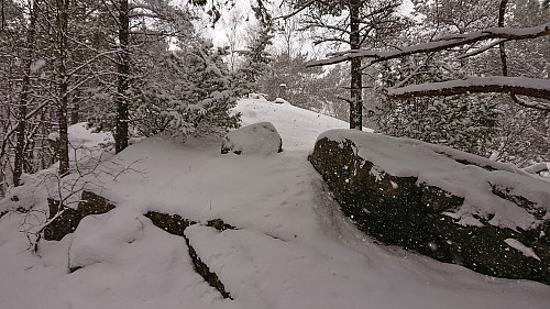 The trig marker at Knappen from the main trail