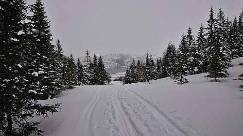 Perfect conditions for skiing!