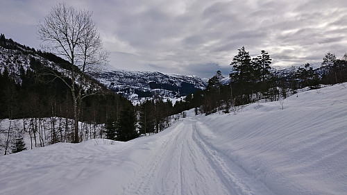 Skiing along the gravel road in Oppheimsdalen