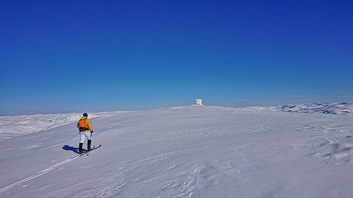 The summit of Blåvasshorgi
