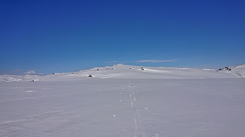 Approaching the summit of Kringdalsnipa