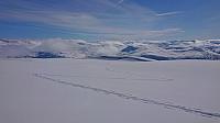 Looking back at our tracks