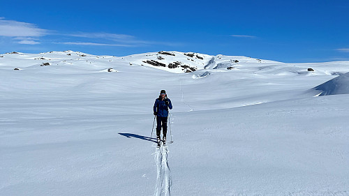 On the way back to Taulafjellet with Kringdalsnipa in the background left