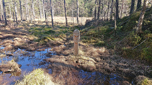 One of the many wooden sculptures next to the road at the start of the ascent to Dreng