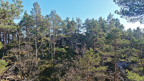 The real summit of Dreng