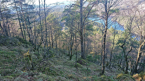 Off-trail descent from Dreng