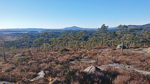 Descending north from Austvikfjellet with Siggjo in the distance