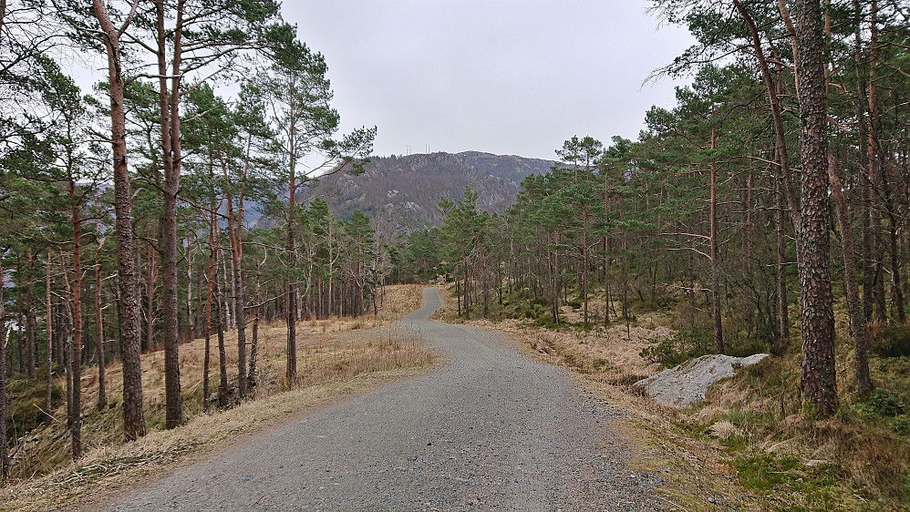 Hellemyrstien