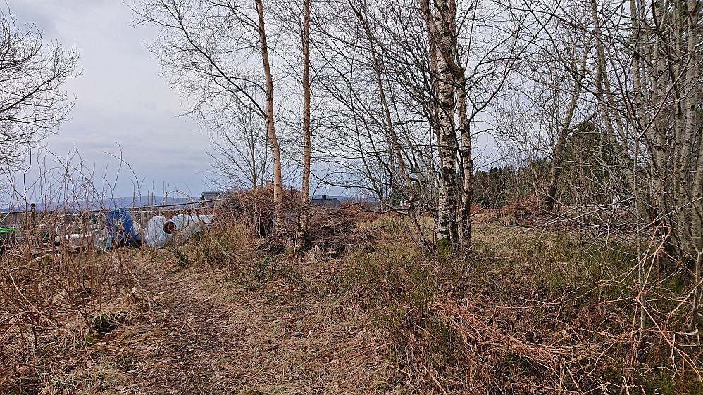 Storasåta på Liland