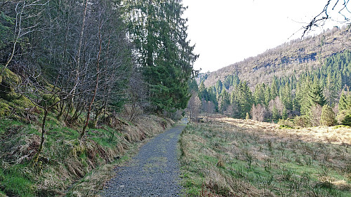 Heading south on the east side of Holevatnet