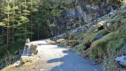 The start of Kossdalssvingane