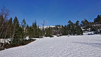 The summit in the distance