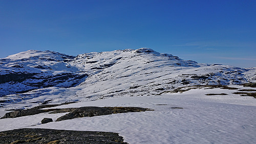 Herdabreida from Gråfjellet with Grim to the left