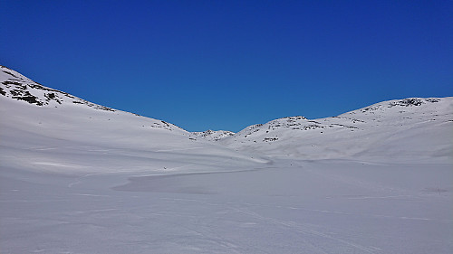 Borgarebuvotni