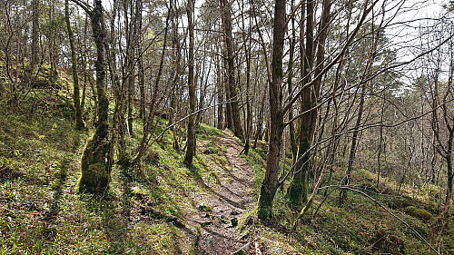 The trail between Skinstø søyle and Ranten