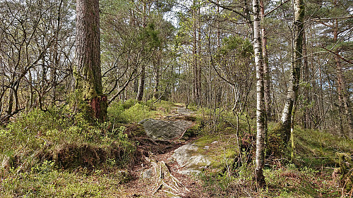 The trail to Ranten