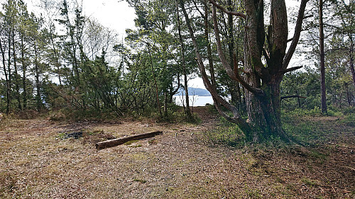 The summit area at Ranten