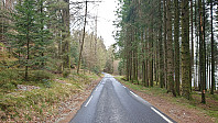 Halseidvegen