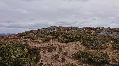 Approaching the summit