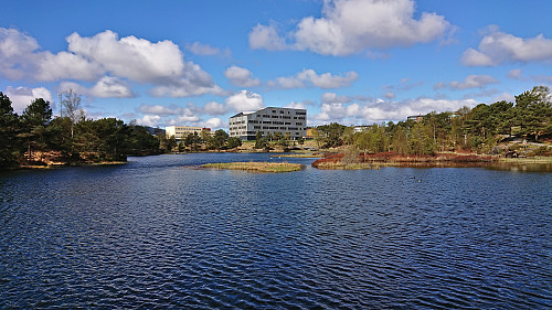 Kvassnesstemma