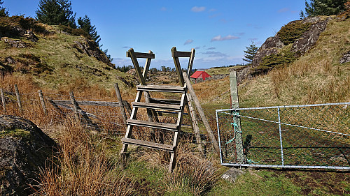 One of the many fences that had to be crossed