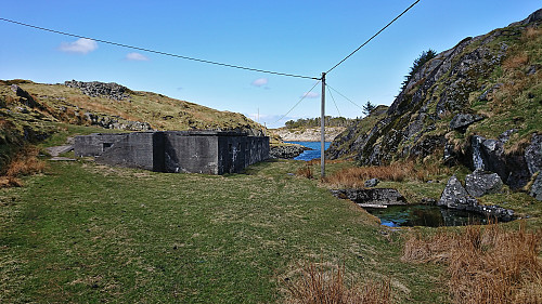 Knavik