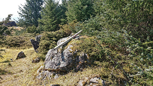 The highest point at Marøy