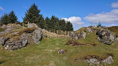 Looking back at the highest point on Marøy from the trail