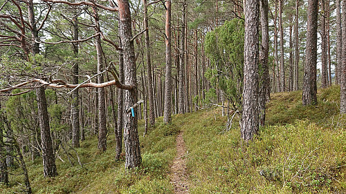 Following the marked trail to Eidsvik