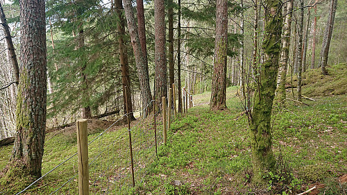 The fence around Eidsvik and the gate in the tractor road