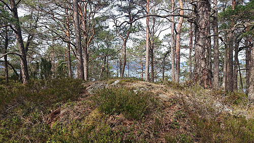 The middle summit of Eidsvikåsen
