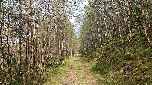 The tractor road on the northern side of Snilstveitøy