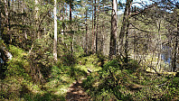 Trail along Frøkjedalsvatnet