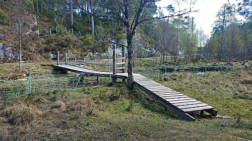 The eastern end of the trail around Frøkjedalsvatnet