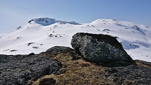The highest point at the minor summit referred to as Skipanuten nord