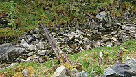 Slippery small bridge