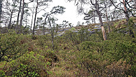 Off-trail towards Håvikemulen
