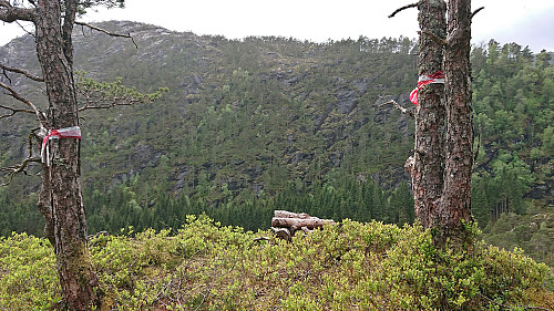Trail markers ending at a viewpoint